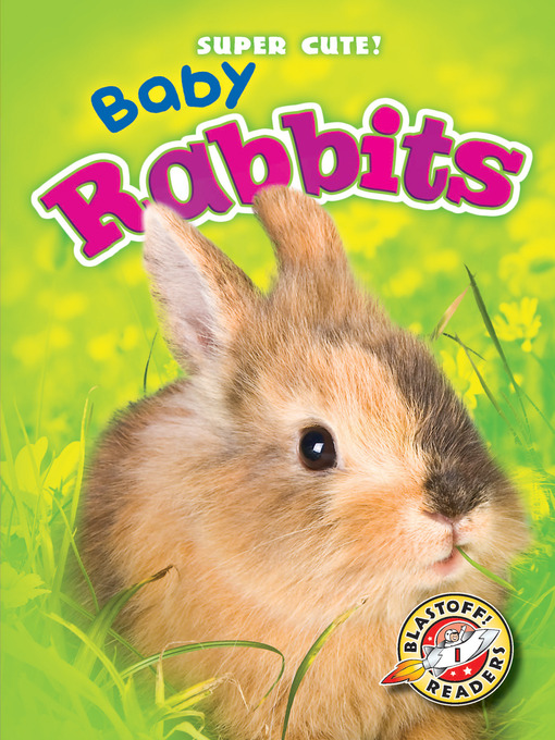 Title details for Baby Rabbits by Dana Fleming - Available